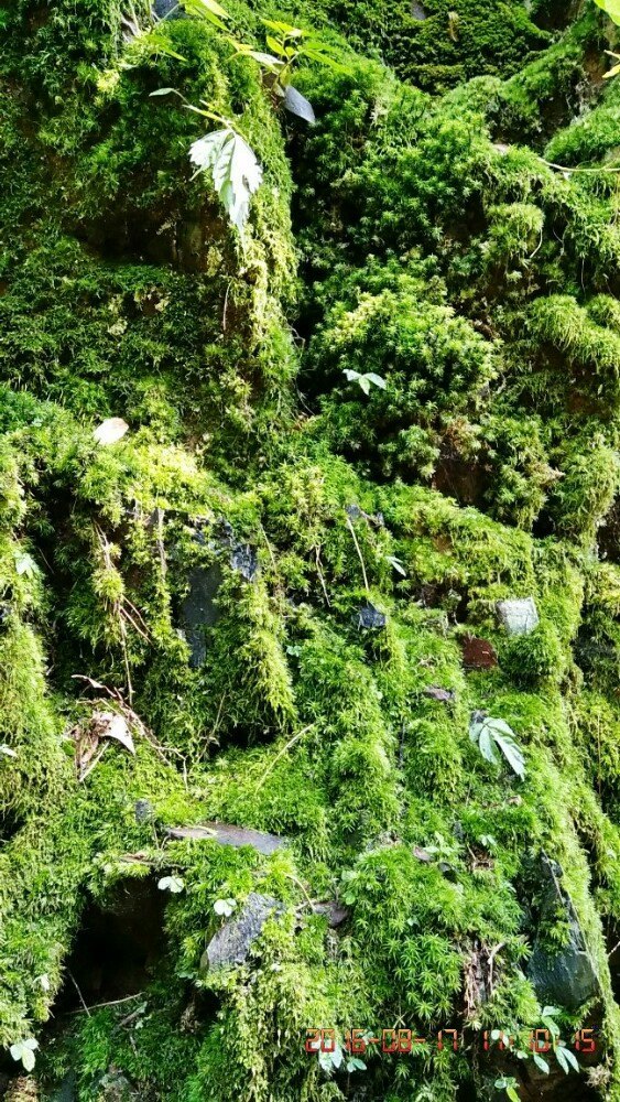 石门冲自然生态景区