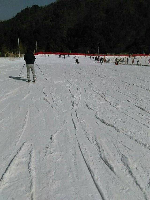 紫柏山国际滑雪场