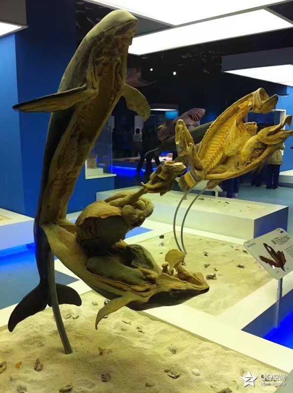 金石滩生命奥秘博物馆