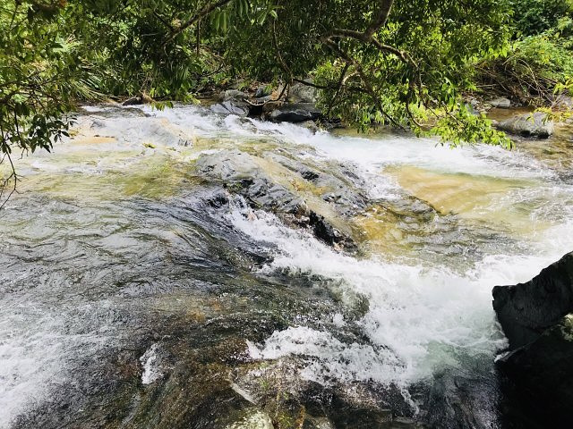 "景色着实优美，坐车至观景平台，正对五指山，蓝天白云青山绿水相互辉映_五指山水满河热带雨林风景区"的评论图片