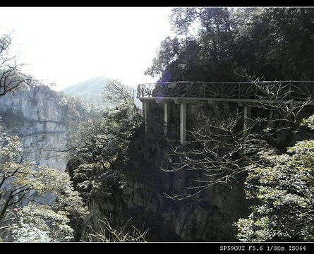 天门山国家森林公园-鬼谷栈道旅游景点攻略图