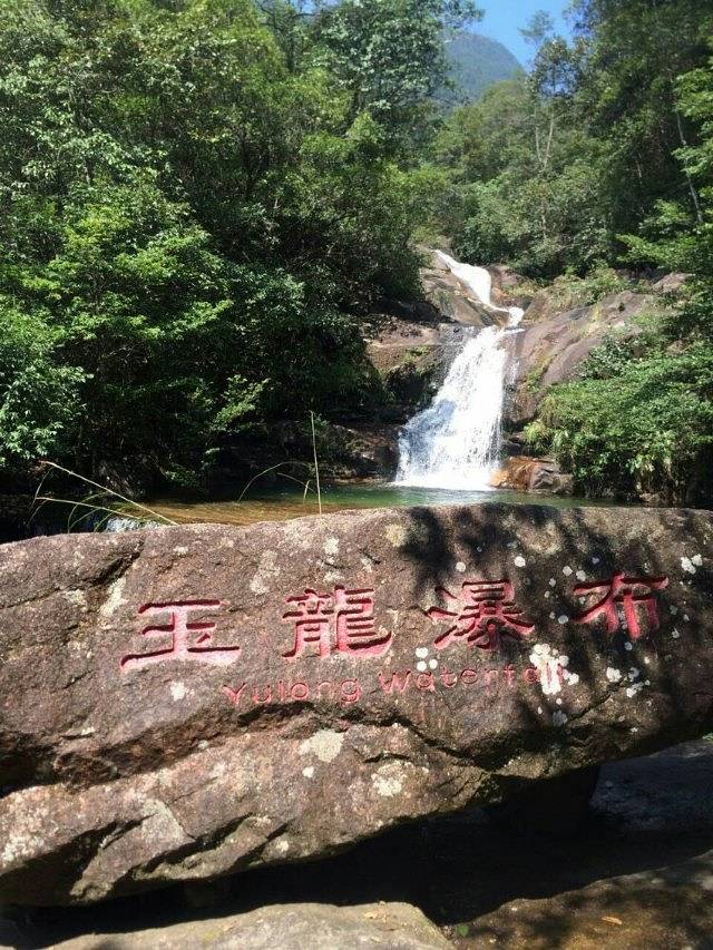 武夷山国家森林公园