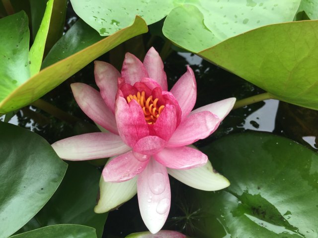 凤城河风水博物馆