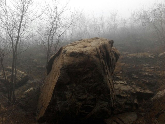 如月湖湿地公园