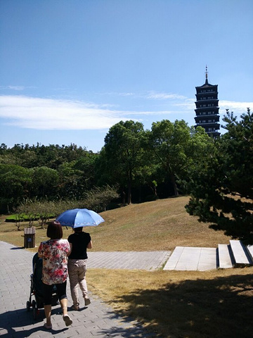 "带着小孩子非常累啊，风景倒还不错，空气也不错，周边没啥吃的，有个游乐园，小小摩天轮，路上花的时..._龙背山森林公园"的评论图片