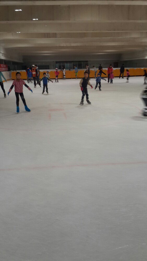 飞扬冰上运动中心(浦东馆)