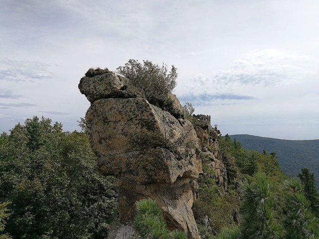 鸡冠山森林公园