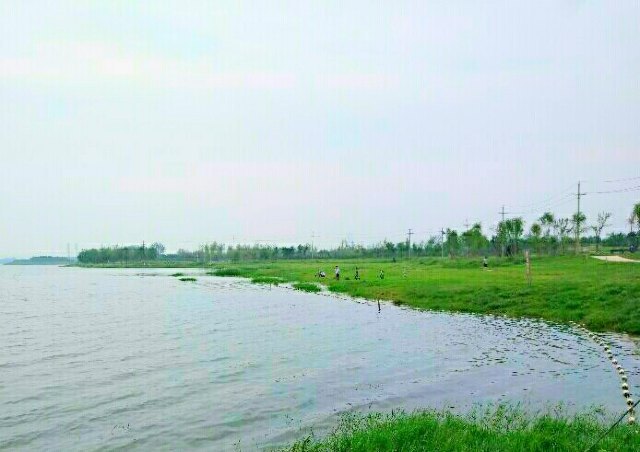 泰山村龙翔千稼集旅游风景区