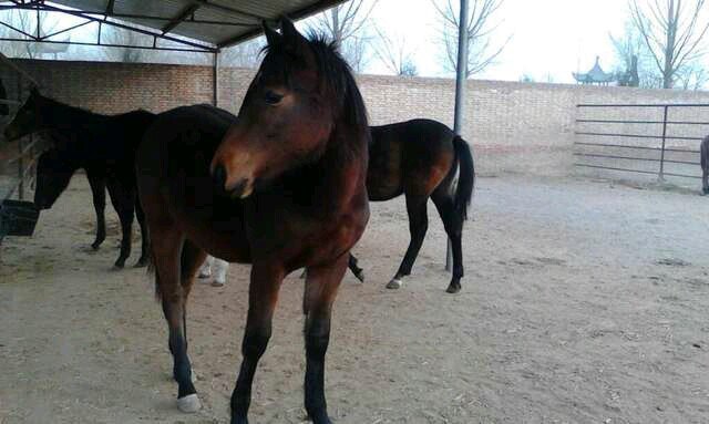 明乐农业生态庄园