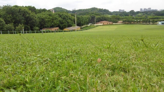 光明滑草游乐园