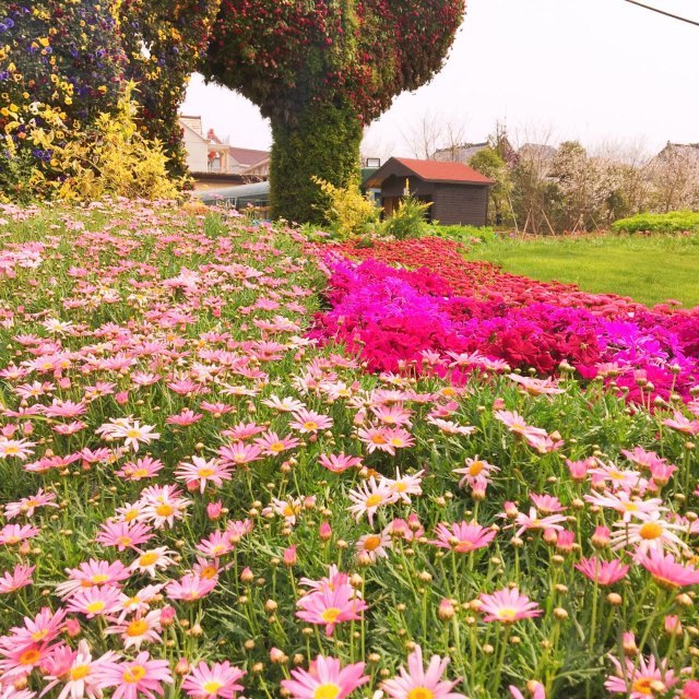荻浦花海欢乐世界