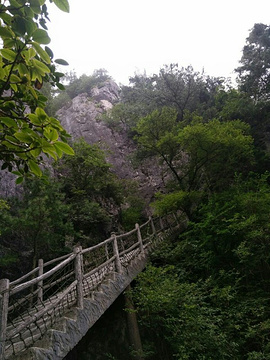 秦岭天竺山旅游景点攻略图