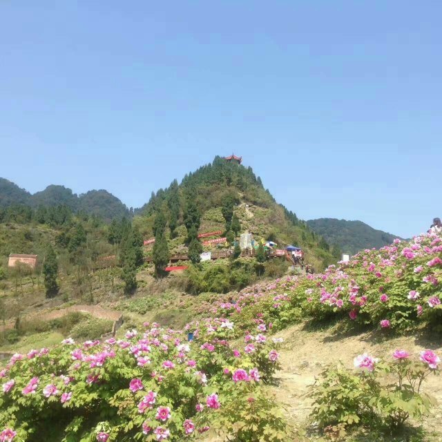垫江牡丹生态旅游区