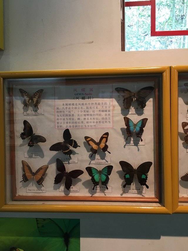 中国泰宁地质博物馆