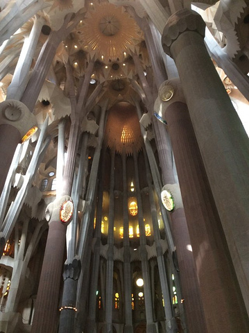 "_圣家主教座堂"的评论图片