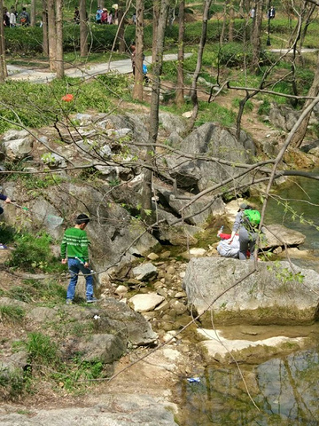 "_琅琊山景区"的评论图片