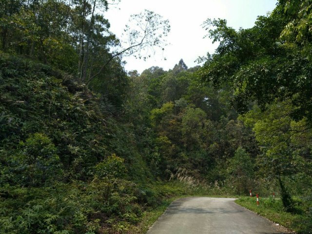 九道谷漂流风景旅游度假区