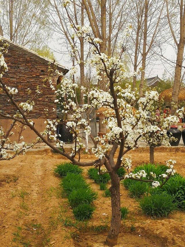 神湖四季生态园