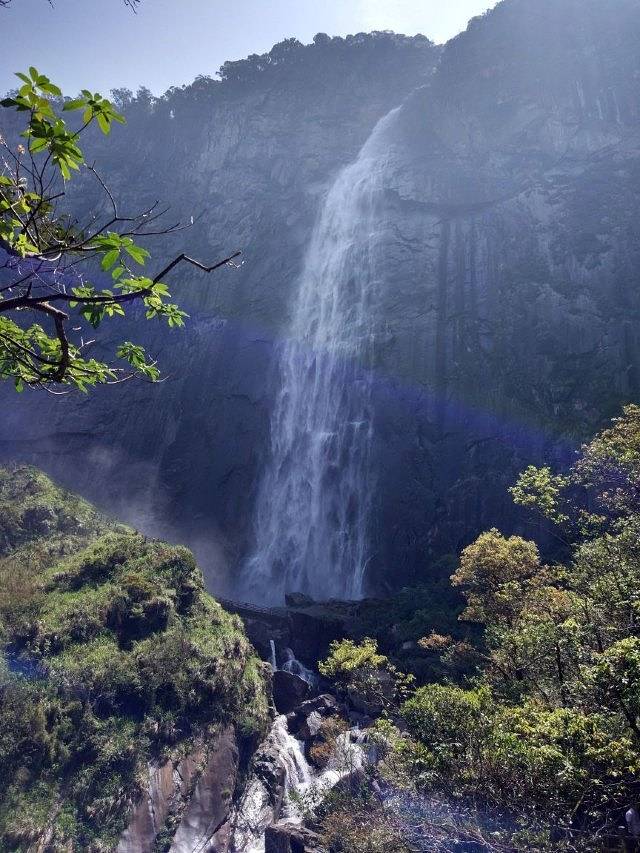 昆山市城市生态森林公园