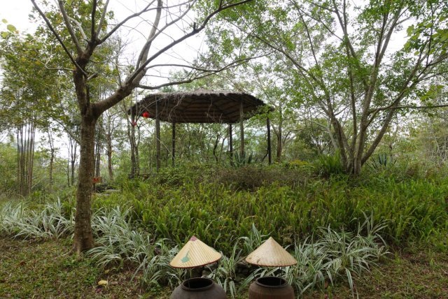 德天老木棉景区