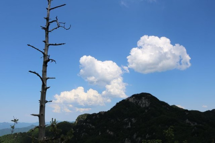 "老界岭地理位置独特，风景优美，无论是拾阶而上亦或是乘缆车，各有千秋……山这边炎阳高照，拐将过去..._老界岭旅游度假区"的评论图片