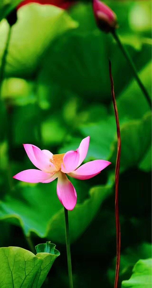 四川大学(望江校区)-博物馆