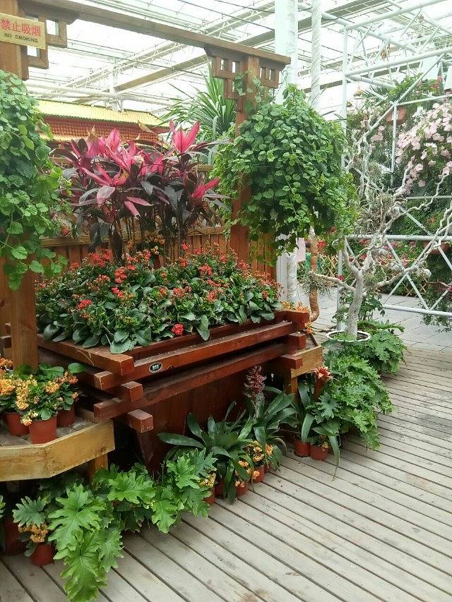 宁夏农旅产业园