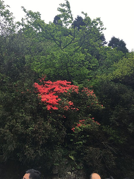 南岳衡山风景名胜区旅游景点攻略图