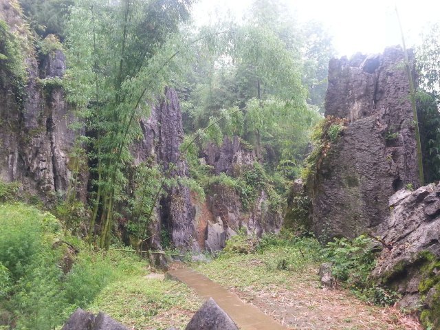思南石林景区