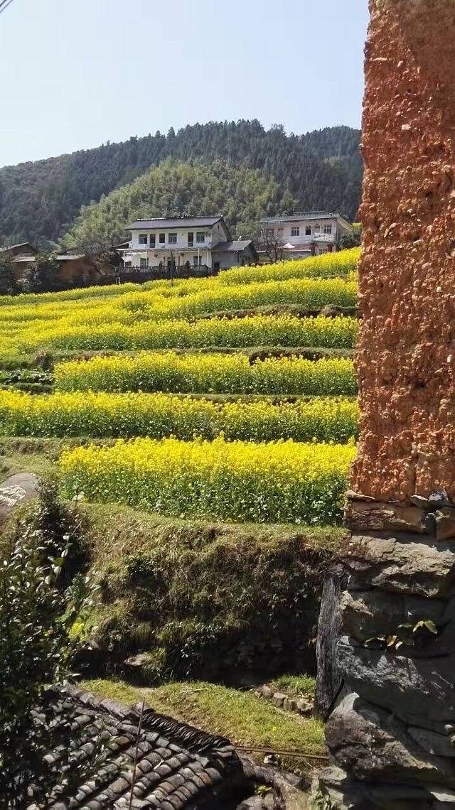 浙江开化国家公园