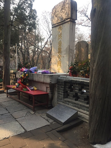 2023孔林……是全世界最大的家族墓园!还有好多古树名木!听说里面有几十万个坟墓!学生可以去拜拜孔子_孔林-评论-去哪儿攻略