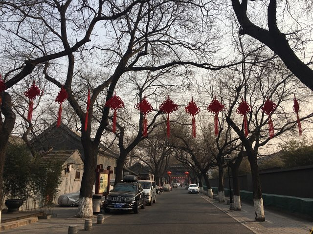 "...以很推荐朋友们去看看，孔庙的规制极高，还有碑林，当街还有不少文物古迹，是一处保存较为完好的胡同_孔庙和国子监博物馆"的评论图片