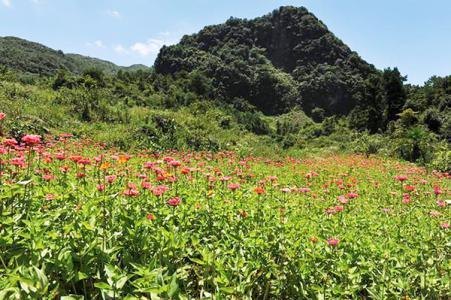 花坝旅游度假区