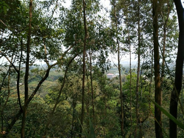 九道谷漂流风景旅游度假区