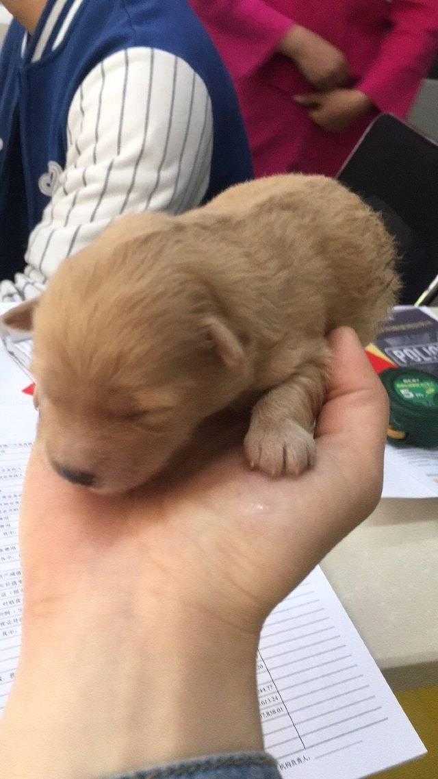 梦多多小镇儿童社会体验公园