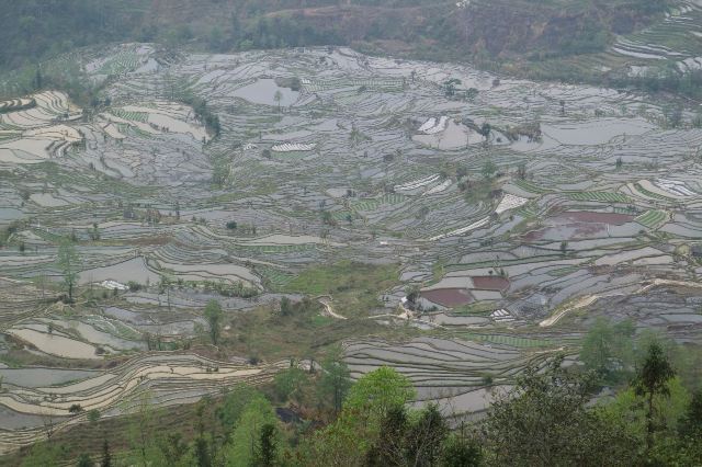 老虎嘴梯田