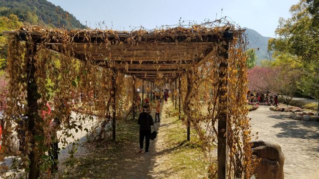 桃仙溪景区桃花岛