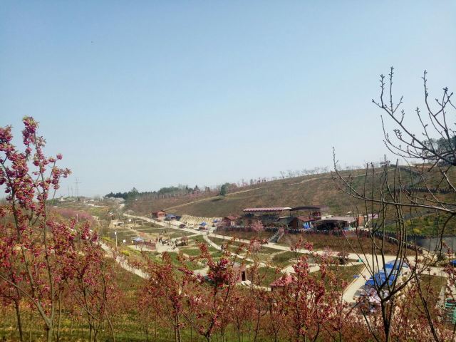 绵阳盛世樱花悠乐谷