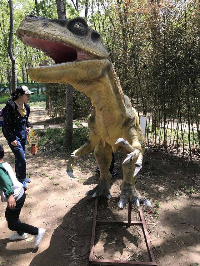 中原绿色庄园景区