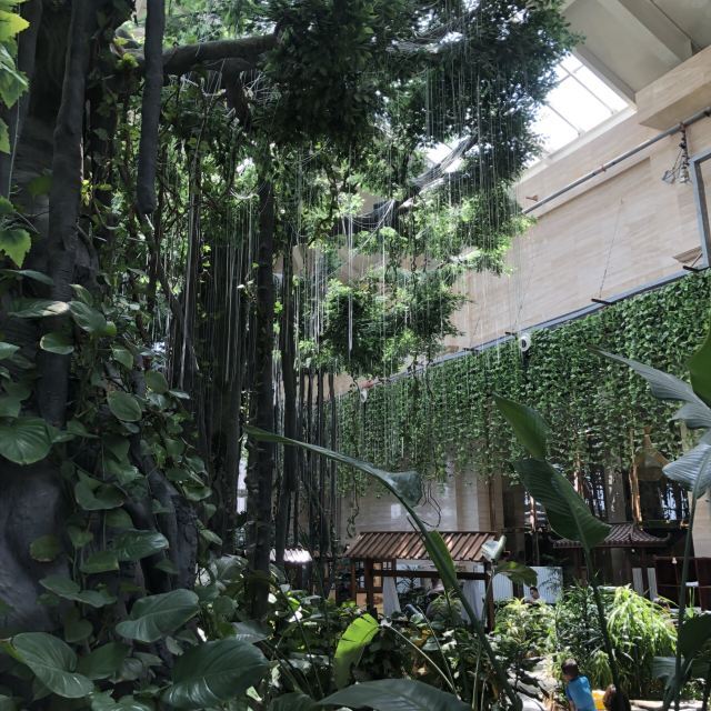 天津光合谷温泉中心