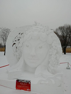 太阳岛雪博会旅游景点攻略图