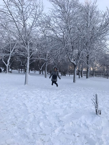 "个人觉得如果不是带孩子来可以不用观看，可以留多点时间在公园里拍照_尼亚加拉冒险剧场"的评论图片