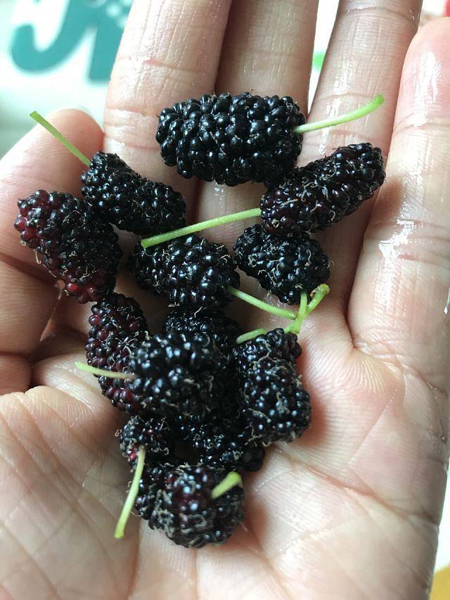 天湖生态旅游度假