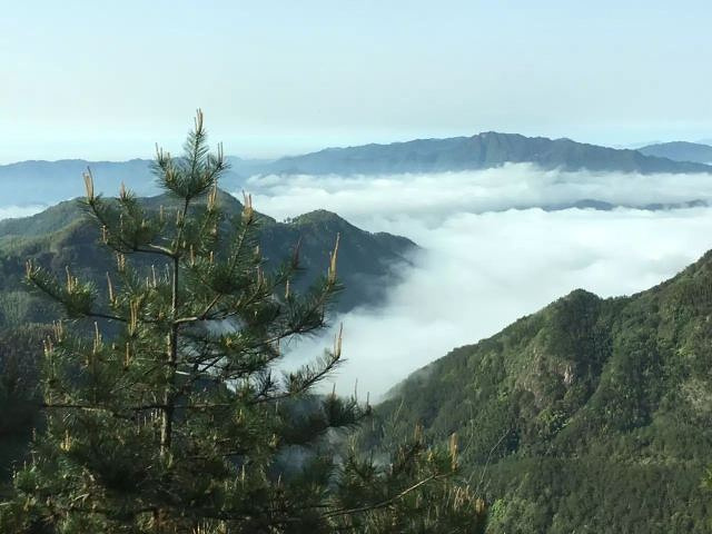 "因独特的自然景观，名列安徽省三大名山之一（黄山、九华山、天柱山）_天柱山"的评论图片