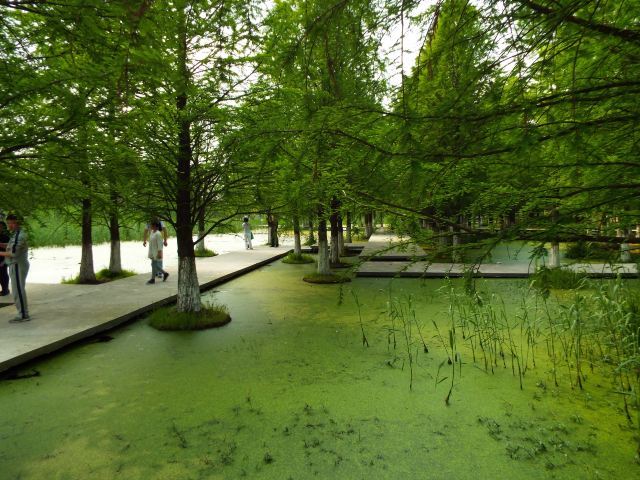 湘家荡月亮湾沙滩