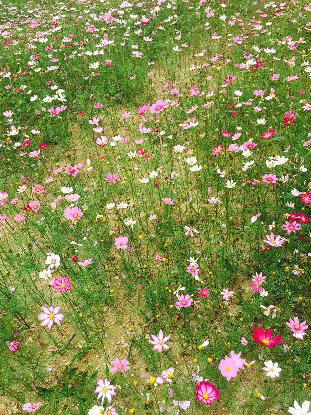 罗田三里畈温泉