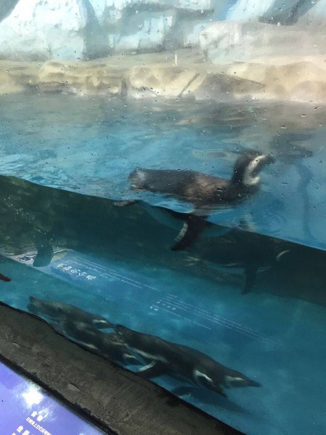 武夷传奇梦幻海乐园