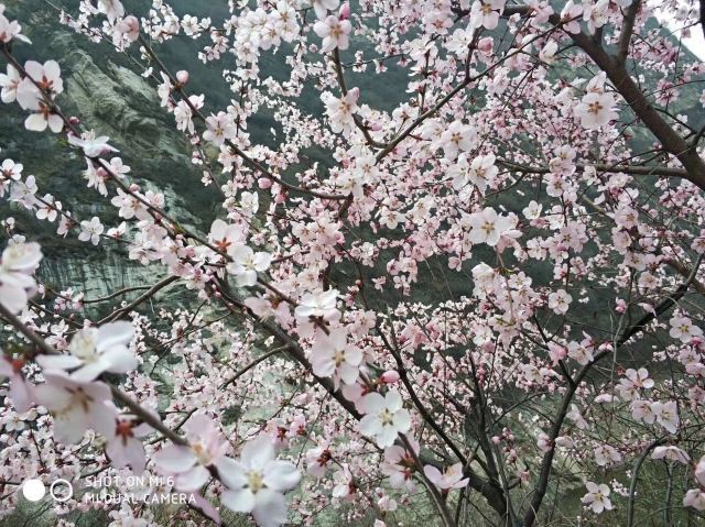 亚武山风景名胜区