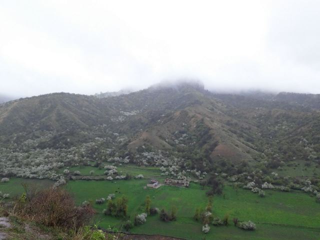 中华福寿山景区
