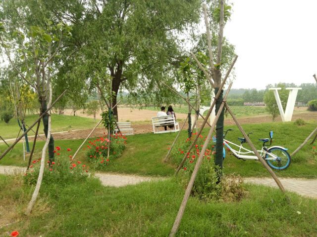 普兰斯薰衣草庄园